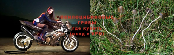 COCAINE Баксан