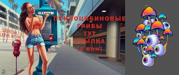 ГАЛЛЮЦИНОГЕННЫЕ ГРИБЫ Балабаново