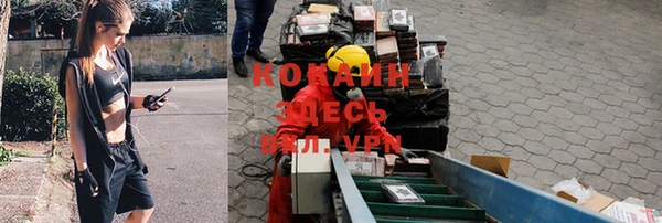 ГАЛЛЮЦИНОГЕННЫЕ ГРИБЫ Балабаново