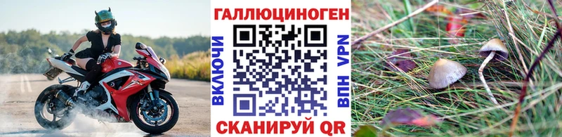 Псилоцибиновые грибы Psilocybine cubensis  купить наркотик  Котлас 